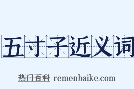 五寸子近义词是什么意思的图片